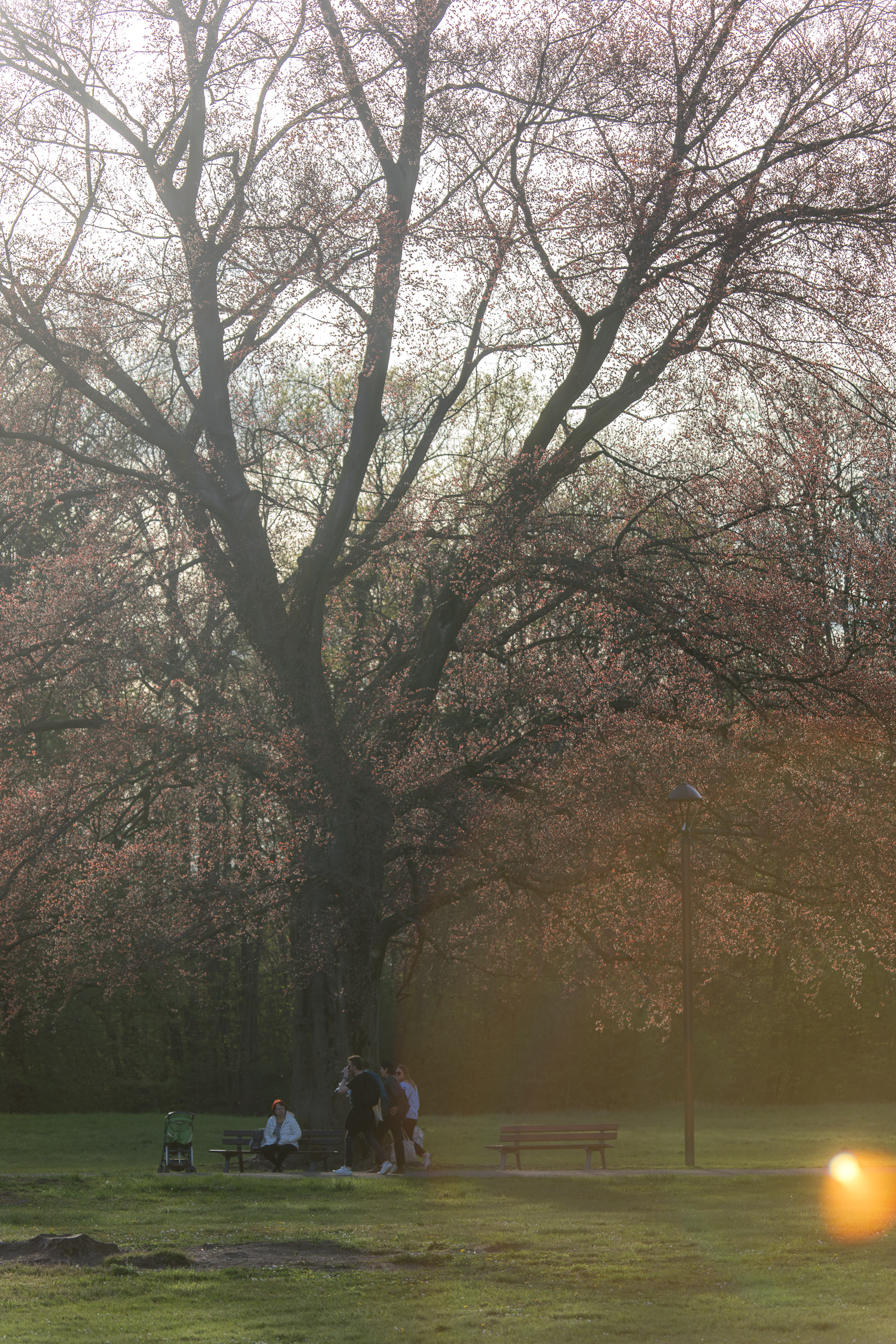 20180414185610 RD4 0623